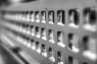 开云中国-青少年运动损伤预防技术及实践研究，青少年运动损伤预防技术及实践研究论文
